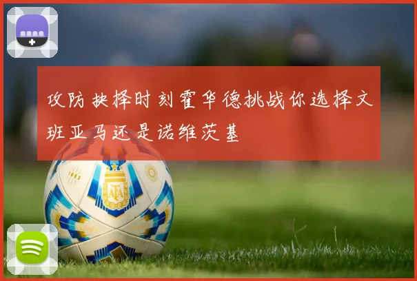 攻防抉择时刻霍华德挑战你选择文班亚马还是诺维茨基