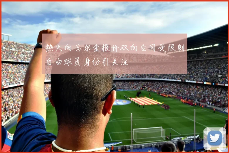 热火向戈尔金报价双向合同受限制自由球员身份引关注