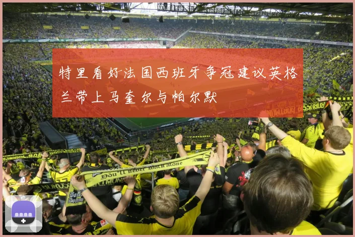 特里看好法国西班牙争冠建议英格兰带上马奎尔与帕尔默